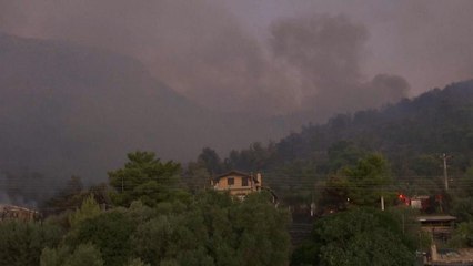Atenas amenazada por un incendio a 11 kilómetros