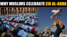 Muslims across the globe celebrate Eid al-Adha, Know why they celebrate it