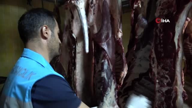 Tokat'ta 20 kurbanda bulaşıcı hastalık tespit edildi