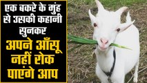 A goat narrates its own story, you won’t be able to hold back your tears