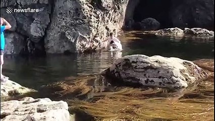 Brave teenager rescues sheep stuck in rocks off Ireland's coast