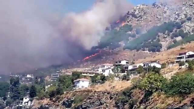 Marmara Adası'nda orman yangını