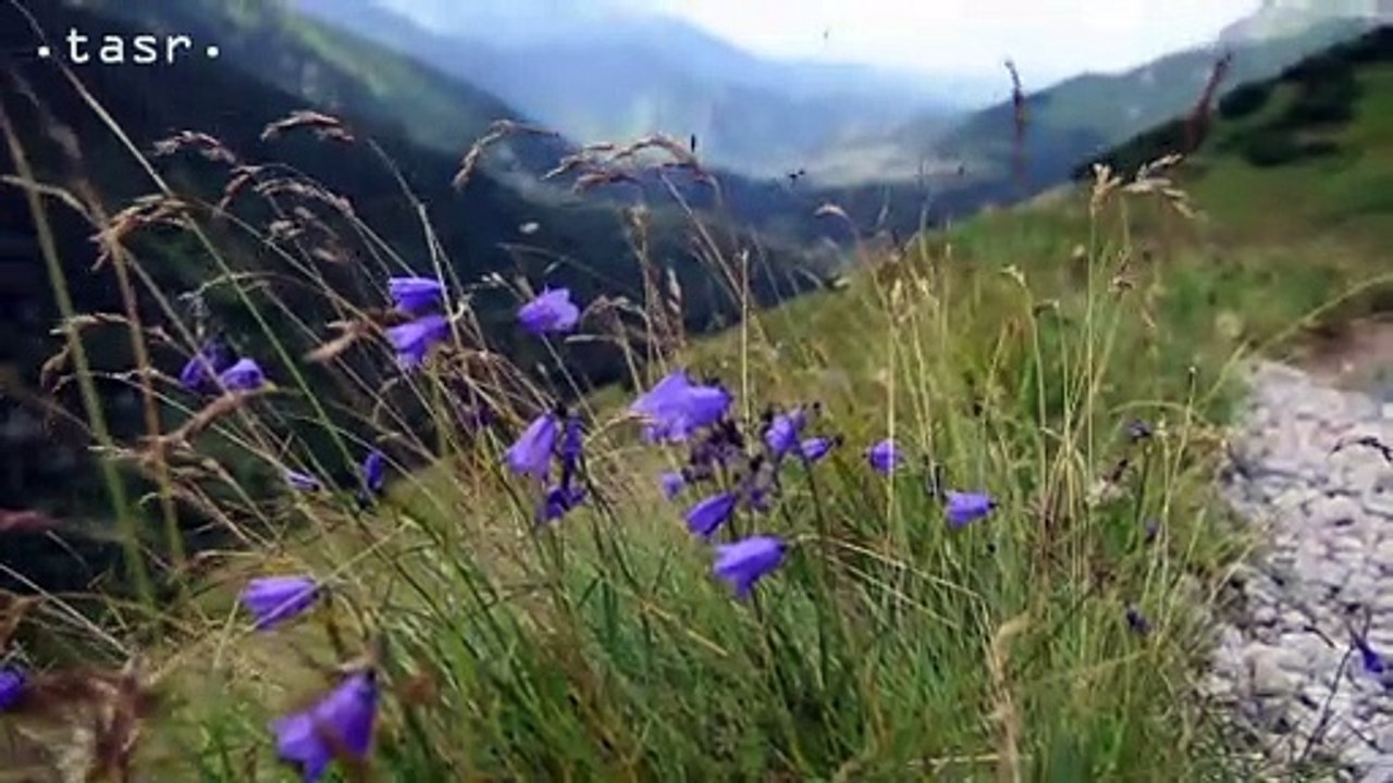 Najkrajšia túra Beliankami je výstup Meďodolmi do Kopského sedla