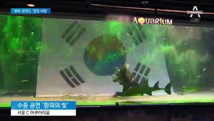 독립군으로 변신한 잠수부…문화계 ‘애국 마케팅’ 활발