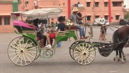 Yemaa el Fna, mítica plaza de Marrakech, se resiste a las medidas tarifarias