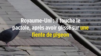Royaume-Uni : il touche le pactole, après avoir glissé sur une fiente de pigeon