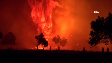 Çanakkale’deki yangının bilançosu ortaya çıkmaya başladı