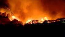 Kanarya Adaları'nda orman yangını: Bin hektar ormanlık alan kül oldu
