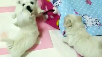 예산출장안마 -후불1ØØ%ョØ7ØM7575M0069｛카톡CC6969｝ 예산전지역출장마사지 예산오피걸 예산출장안마 예산출장마사지 예산출장안마 예산출장콜걸샵안마 예산출장아로마 예산출장㍈ら◯