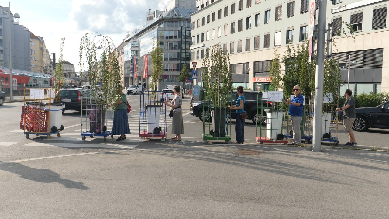 Wanderbaumallee: Abkühlung für den dritten Bezirk