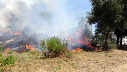 Kartal'da otluk alanda çıkan yangın otoparka sıçramadan söndürüldü