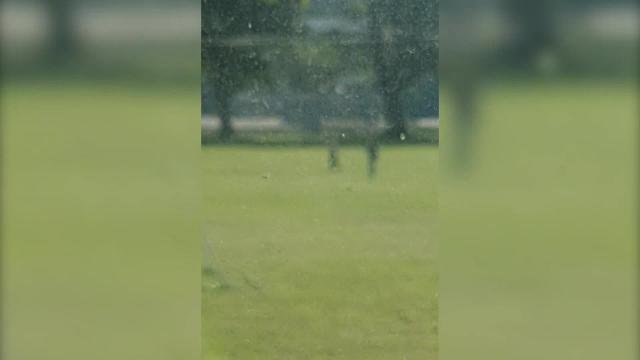 Shocking footage shows man kicking dog in unprovoked attack in Scottish park