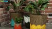 DIY: Painted Planter Baskets