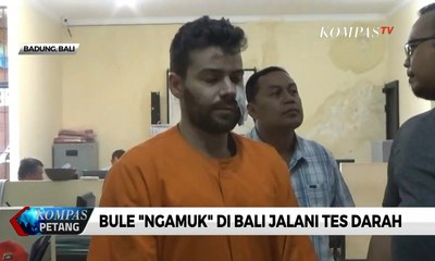 Polisi Lakukan Tes Darah Pada Bule "Ngamuk" di Bali