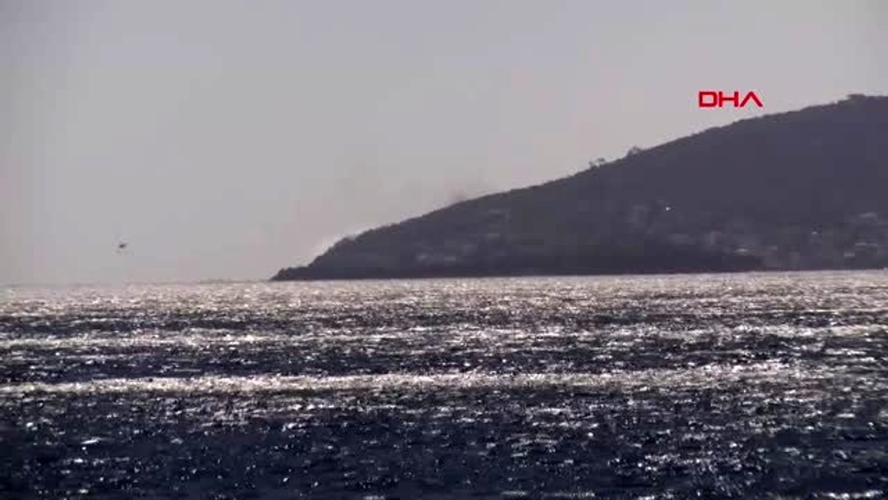 İSTANBUL- BURGAZADA'DA ORMANLI ALANDA YANGI ÇIKTI