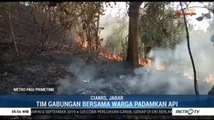 Hutan Jati Seluas 5 Hektare di Ciamis Hangus Terbakar