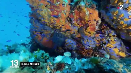 Cap Corse : un équilibre fragile