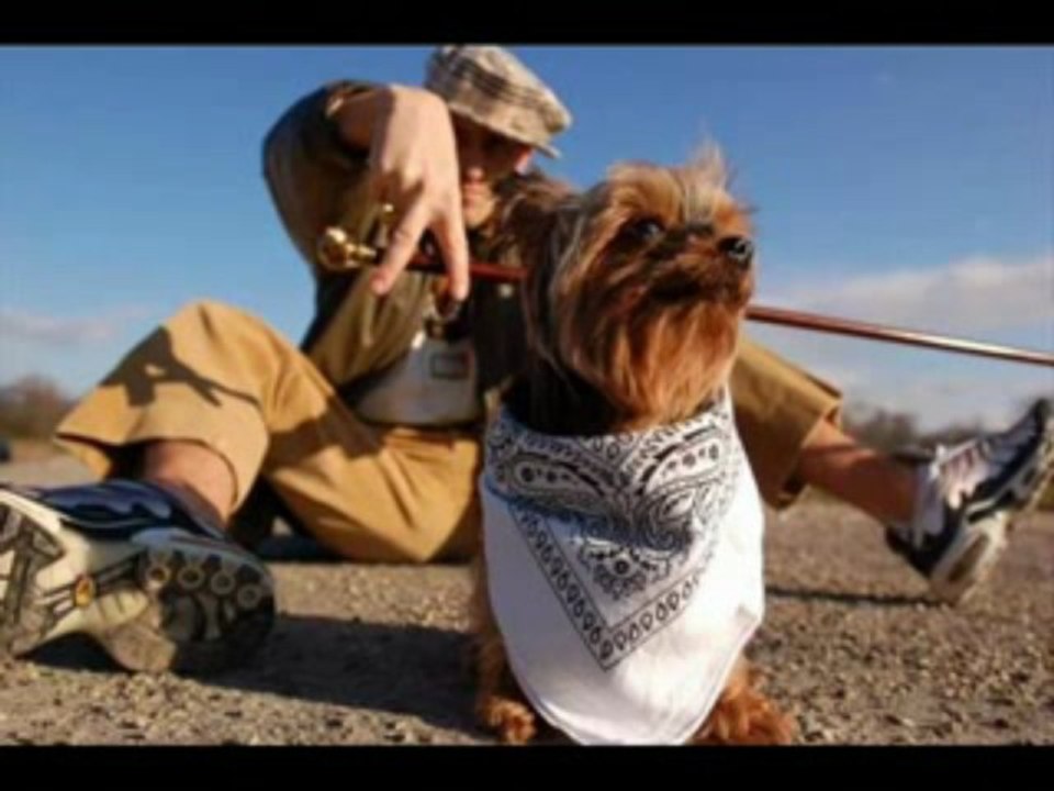 L'alsachien- a la coop(version courte)