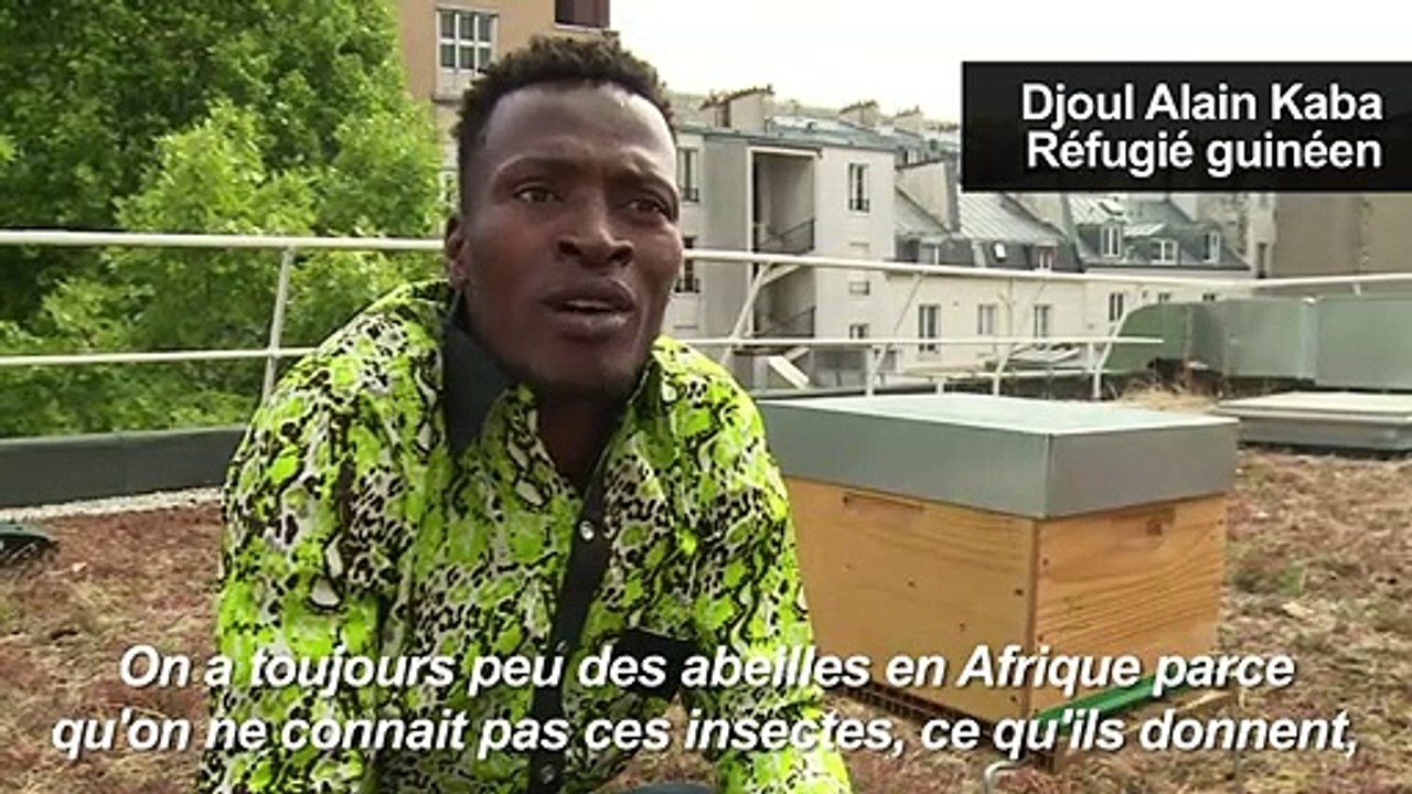 Cours d’apiculture pour aider les réfugiés à oublier leur passé