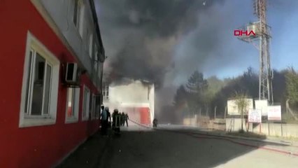 KOCAELİ Gebze'de mesire alanında ağaçlar yandı -4