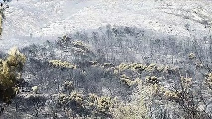 أجهزة الإطفاء تتمكن من احتواء حريق ضخم قرب أثينا