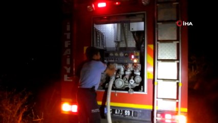 Burhaniye’de meydana gelen ot yangını mandalina bahçesini kül etti