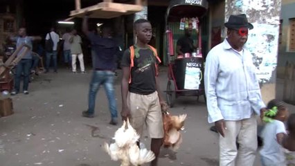 - Fildişi Sahilleri'nde günlük yaşam