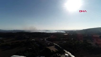 KOCAELİ Gebze'de mesire alanında ağaçlar yandı -6