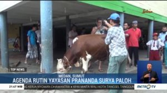 Prananda Surya Paloh Serahkan Hewan Kurban untuk Warga Medan