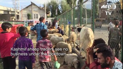 Heartbreak as Kashmiris struggle to prepare for Eid