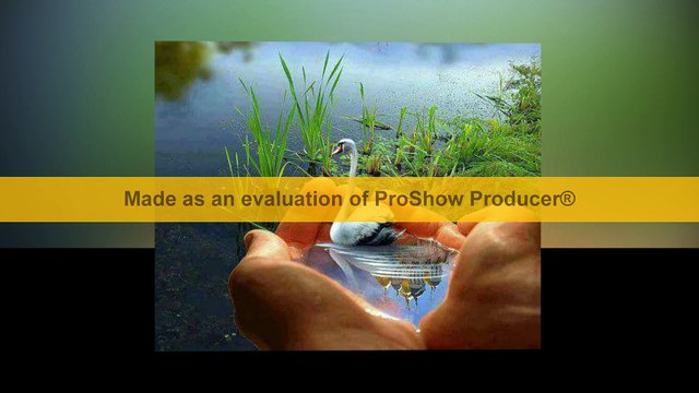 انا والدموع الدمعة صعبة