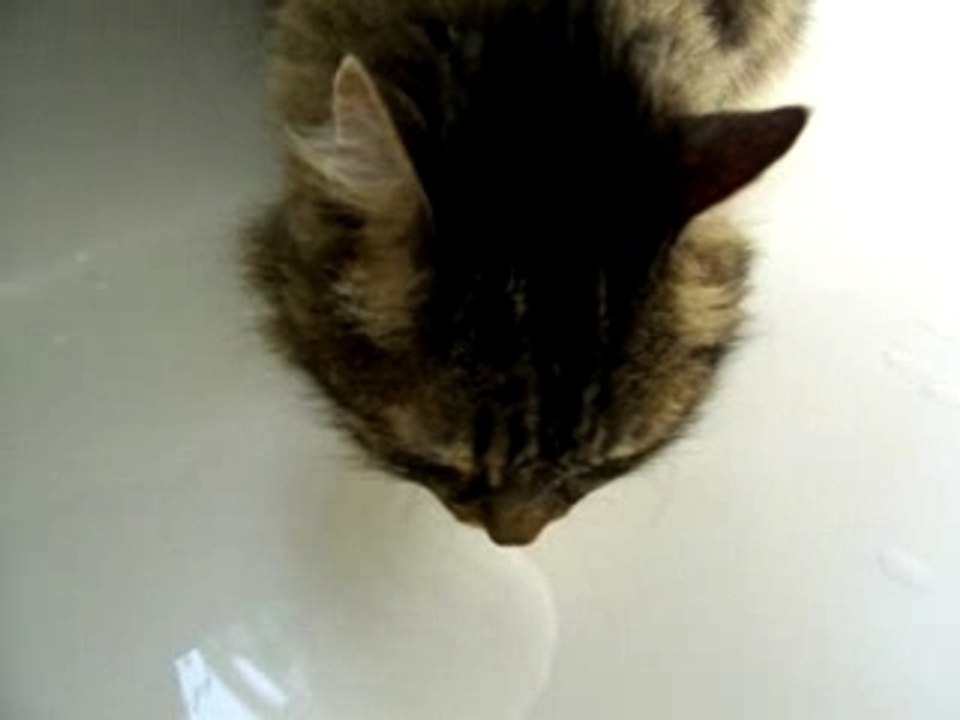 CLEOPATRE DANS SA BAIGNOIRE