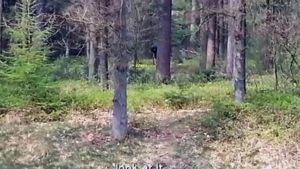 5 Real-Life Creepypasta Characters Caught on Camera -4