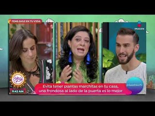 ¿Cómo renovar mi energía mediante el feng shui? | Sale el Sol