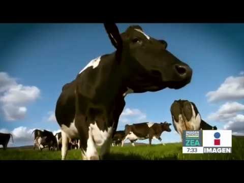 ¡Esta es la tecnología que garantiza la seguridad alimentaria! | Noticias con Francisco Zea