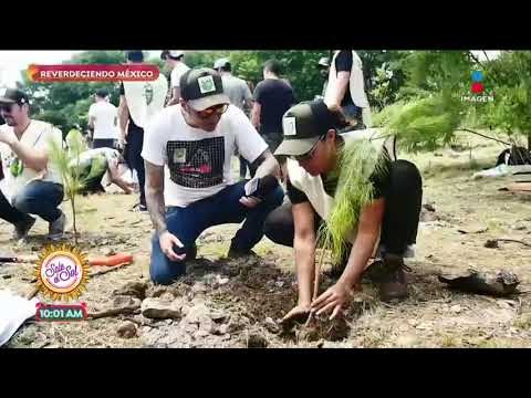 Sajid estuvo en la cruzada 'Reverdeciendo México' en Michoacán | Sale el Sol