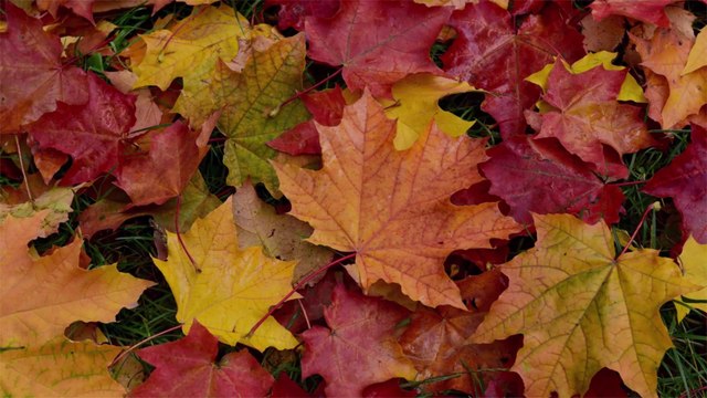 The Most Affordable Destinations for a Fall Getaway