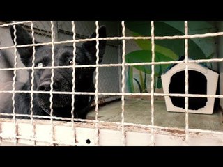 Rescate canino en el Metro
