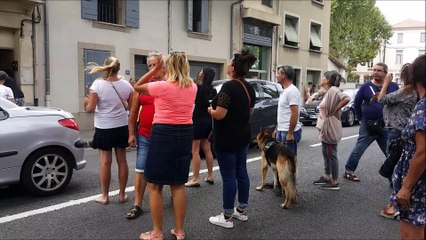 Orange : les chiens secourus et placés dans un refuge