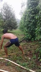 Man Catches Massive Cobra