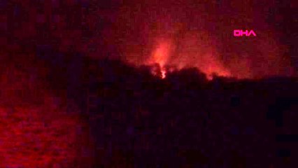 KÜTAHYA Tavşanlı'da orman yangını