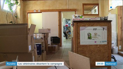 Déserts: les vétérinaires quittent les campagnes