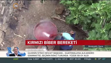 Kırmızı biber üreticileri sevindirdi