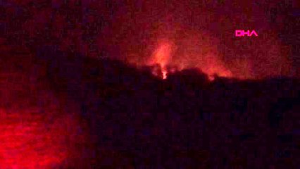 KÜTAHYA Tavşanlı'da orman yangını 3-