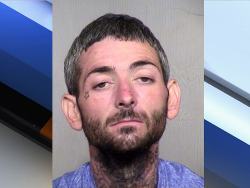 PD: Scottsdale puppy thief caught, puppy still missing - ABC15 Crime