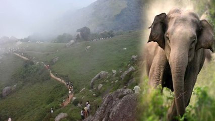 Velliangiri Forest | உயிர்ப் பலி ஏற்பட்டால் நாங்க பொறுப்பில்லை.. எச்சரிக்கும் வனத்துறை!- வீடியோ