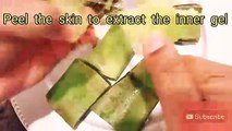 HOW TO MAKE ALOE VERA JUICE AT HOME FOR HEALTH, SKIN AND HAIR CARE _ NG STYLES ORGANIC BEAUTY TIPS