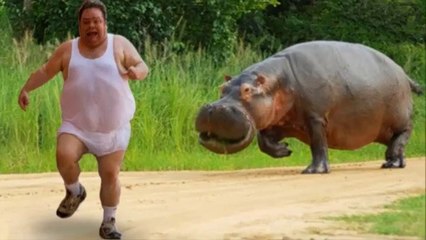 Funniest Animals Scaring People Reactions Of 2019