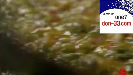 부스타빗?#그래프◐ 도메인 : （don-33.com）추천인코드 : one7