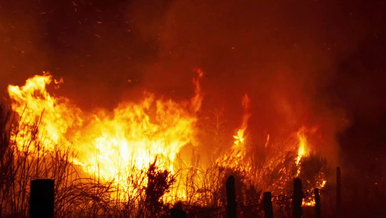 VIENDRA LE FEU bande-annonce, sortie le 4/09